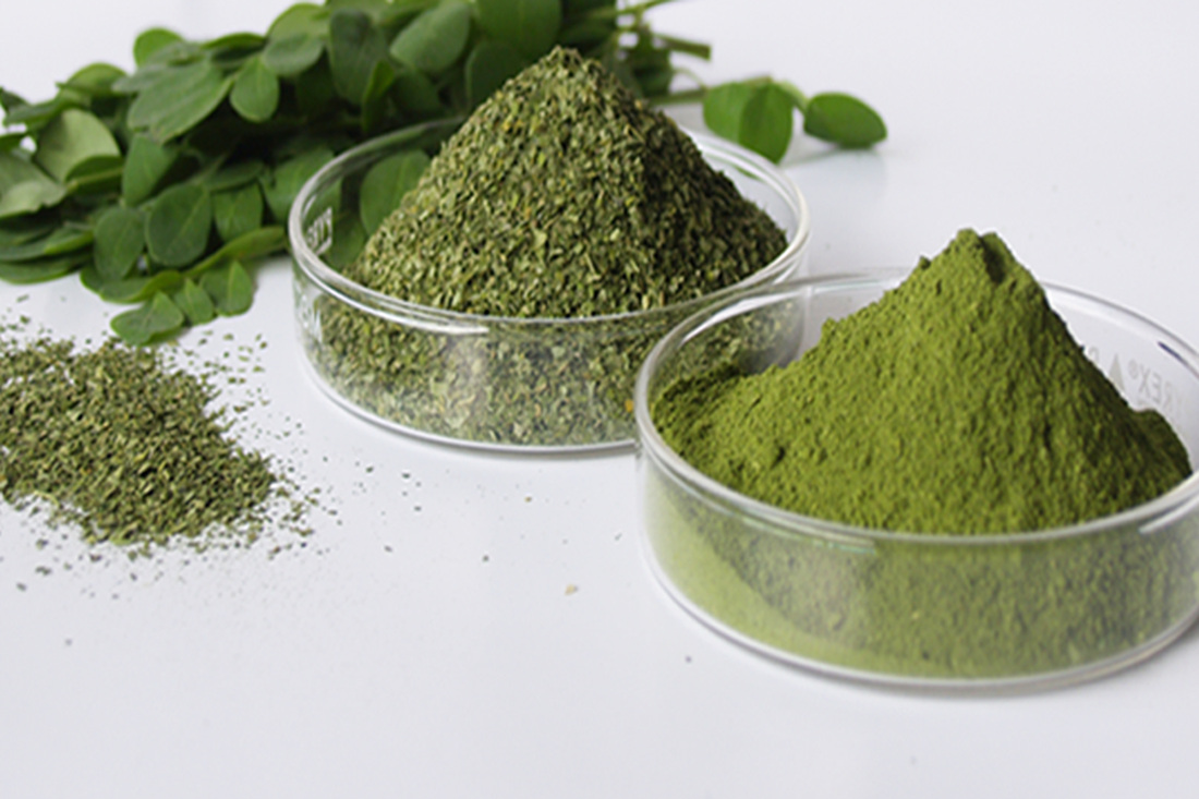 Polvere di moringa